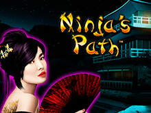 Ninja's Path